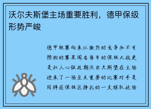 沃尔夫斯堡主场重要胜利，德甲保级形势严峻