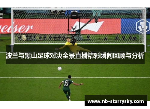 波兰与黑山足球对决全景直播精彩瞬间回顾与分析